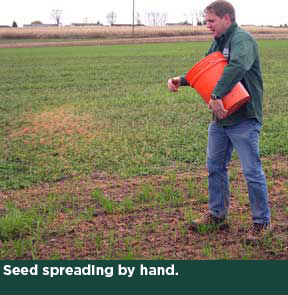 Seed spreading by hand.